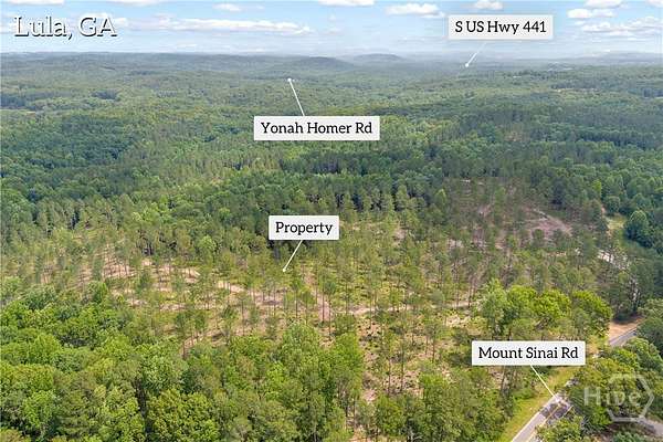 23.2 Acres of Recreational & Residential Land for Sale in Lula, Georgia