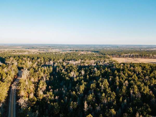 40 Acres of Recreational & Residential Land for Sale in Fordyce, Arkansas
