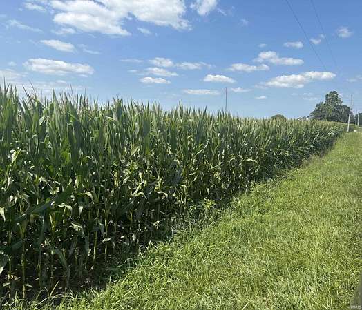 78.5 Acres of Agricultural Land for Sale in Gaston, Indiana