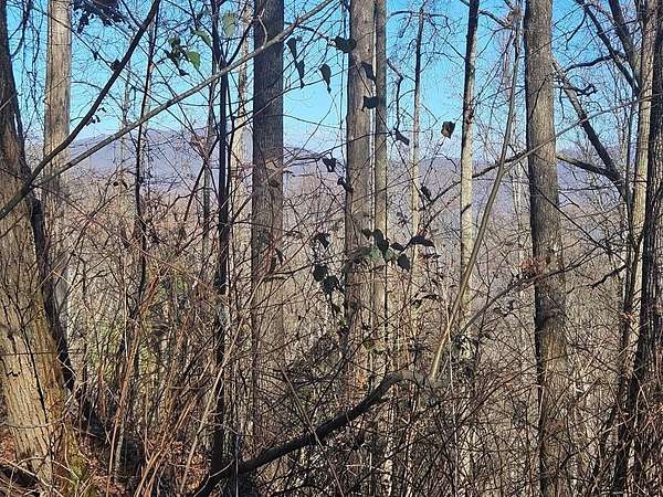 2.82 Acres of Land for Sale in Franklin, North Carolina