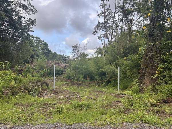 0.78 Acres of Residential Land for Sale in Keaau, Hawaii