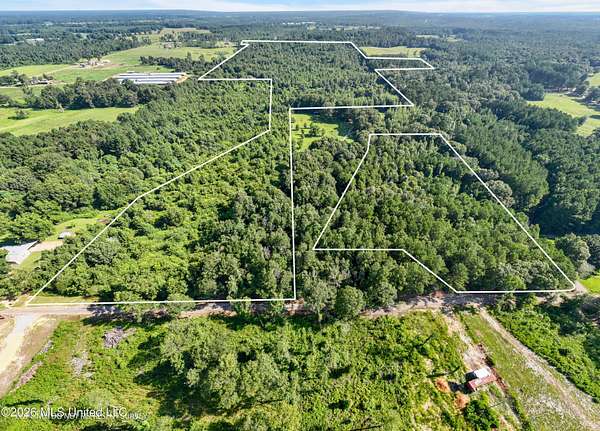 86 Acres of Recreational & Residential Land for Sale in Tylertown, Mississippi