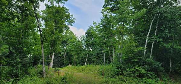 11.1 Acres of Recreational & Residential Land for Sale in Hayward, Wisconsin