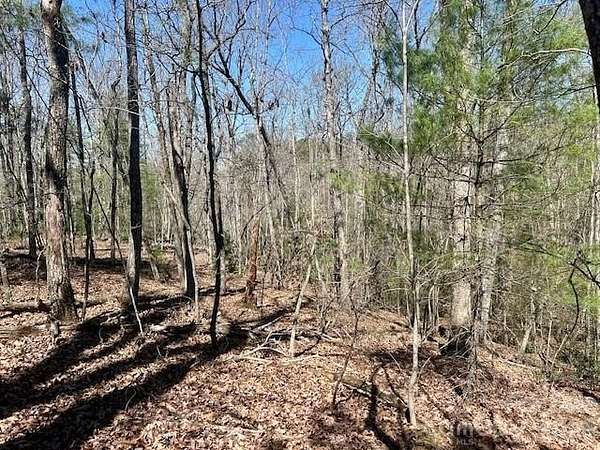 60 Acres of Recreational & Residential Land for Sale in Lenoir, North Carolina
