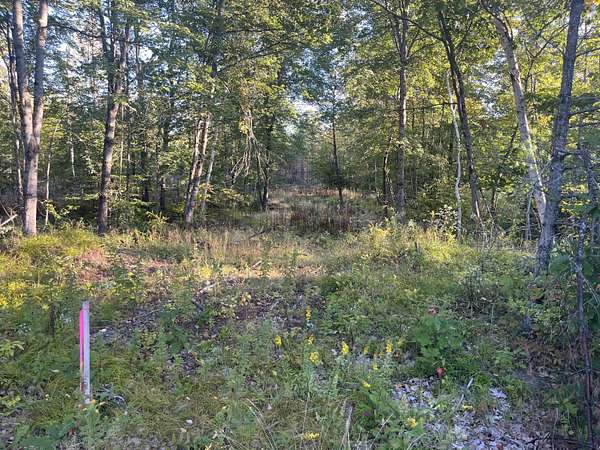 3 Acres of Land for Sale in Naples, Maine
