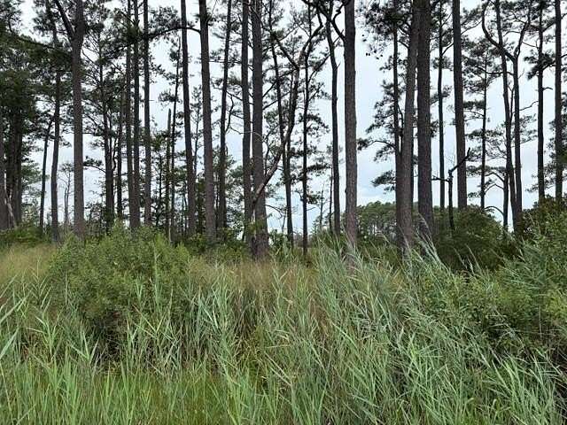 3 Acres of Land for Sale in Bloxom, Virginia