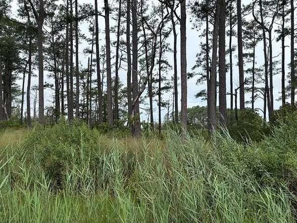 3 Acres of Land for Sale in Bloxom, Virginia