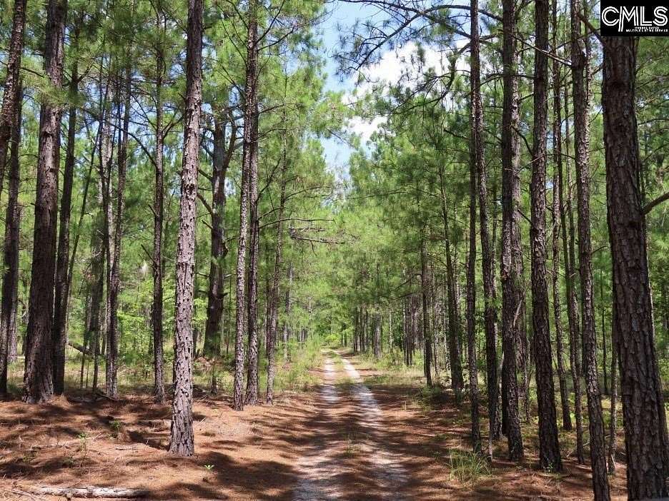 106 Acres of Recreational & Residential Land for Sale in Kershaw, South Carolina