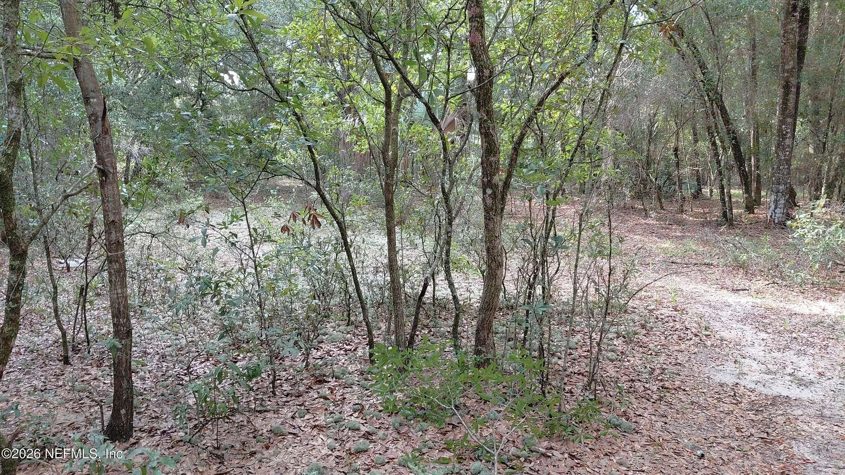 0.57 Acres of Residential Land for Sale in Interlachen, Florida