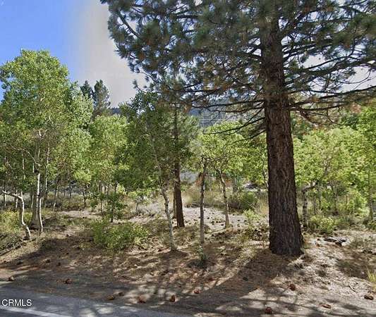 0.33 Acres of Land for Sale in June Lake, California