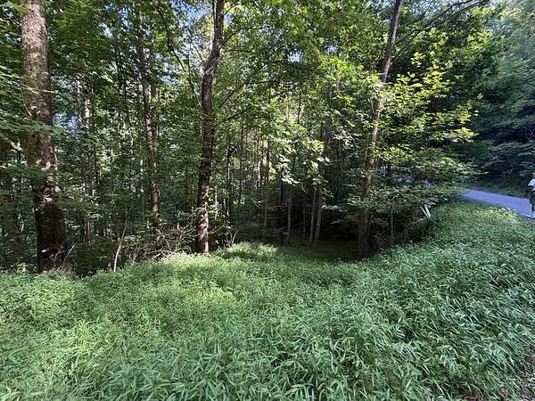 1.43 Acres of Residential Land for Sale in Hiawassee, Georgia