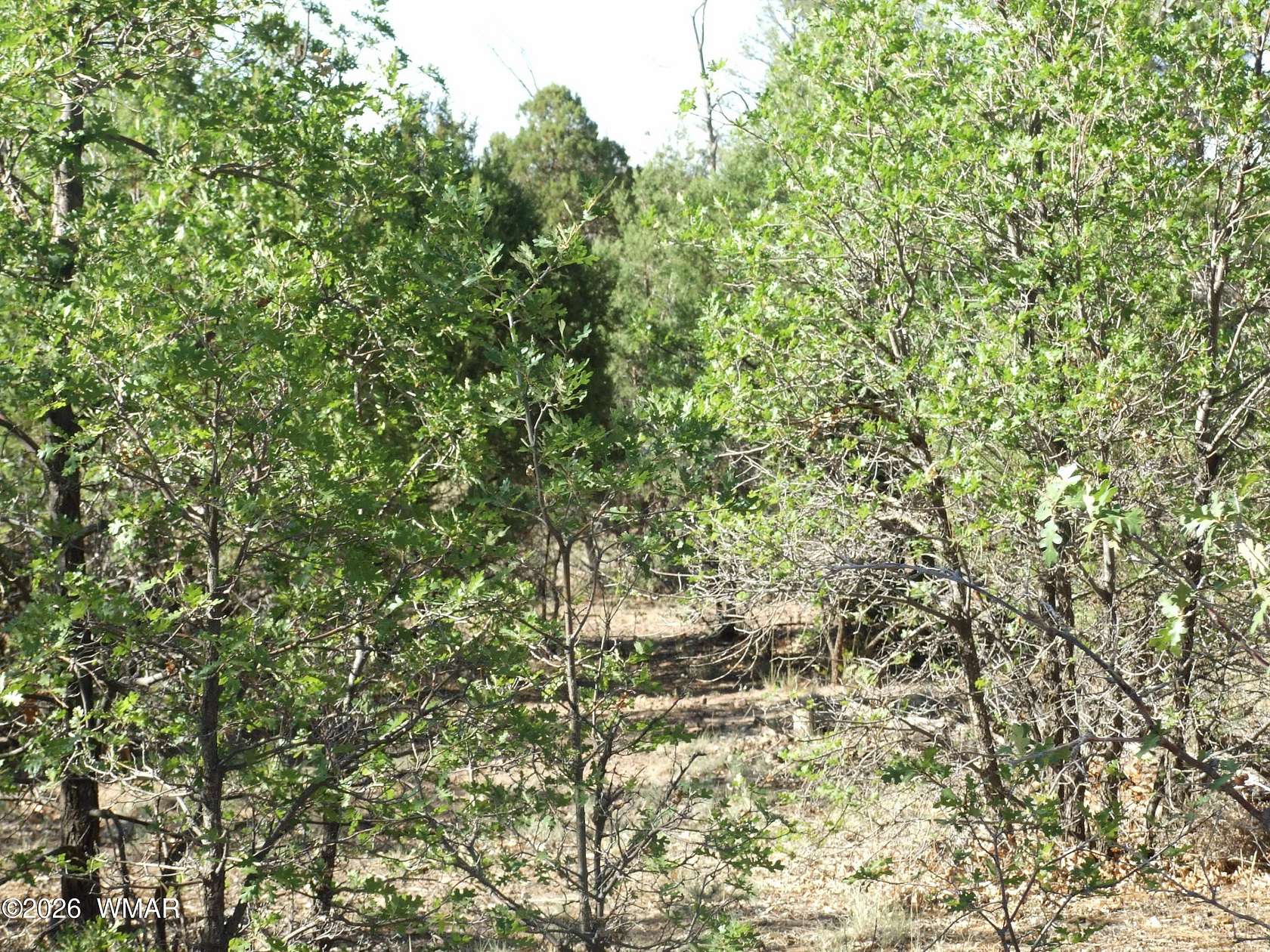 1 Acre of Land for Sale in Pinedale, Arizona