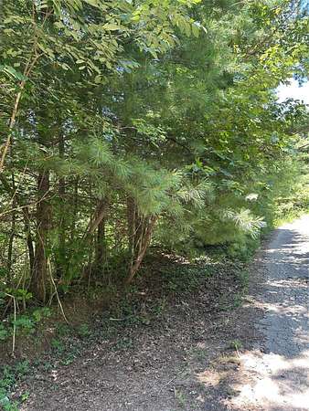 1 Acre of Residential Land for Sale in Morganton, North Carolina