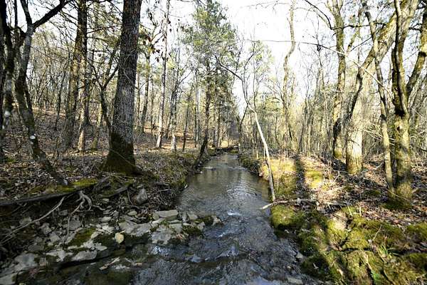 12.5 Acres of Recreational Land for Sale in Mena, Arkansas