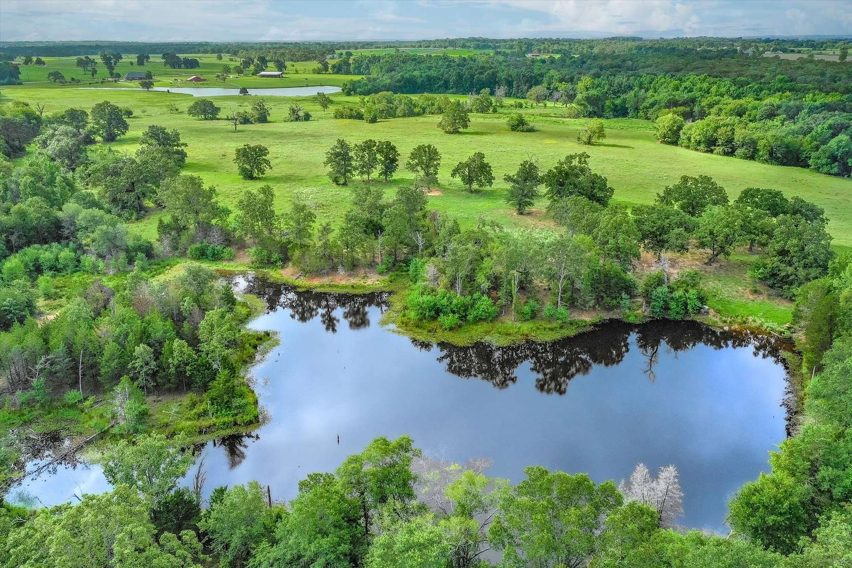 80 Acres of Land for Sale in Grand Saline, Texas