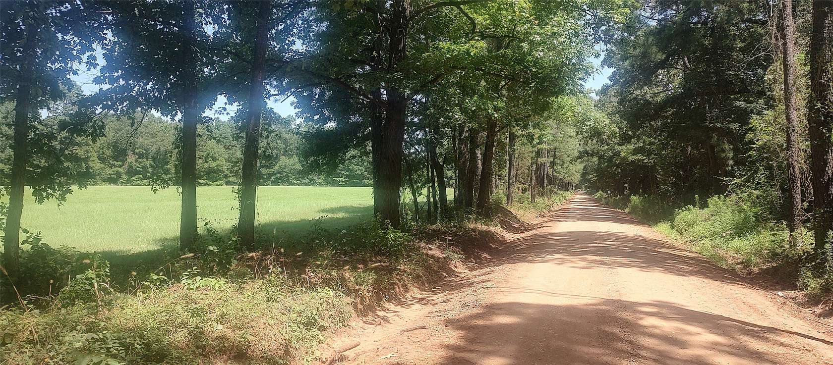 29 Acres of Land for Sale in Tenaha, Texas