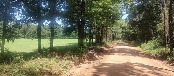 29 Acres of Land for Sale in Tenaha, Texas