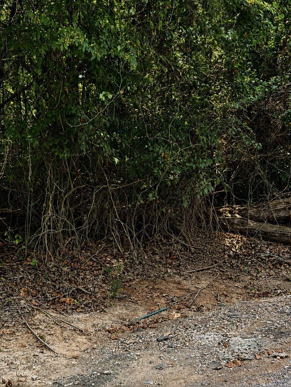 0.44 Acres of Residential Land for Sale in Shreveport, Louisiana
