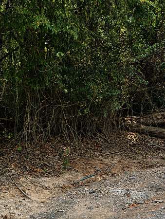 0.44 Acres of Residential Land for Sale in Shreveport, Louisiana