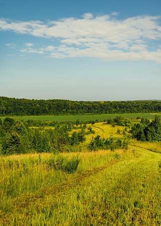 722 Acres of Land for Sale in Big Creek, Mississippi