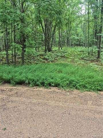 0.59 Acres of Residential Land for Sale in Rose Lake Township, Michigan