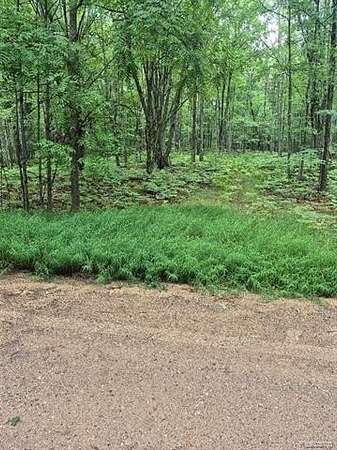 0.59 Acres of Residential Land for Sale in Rose Lake Township, Michigan