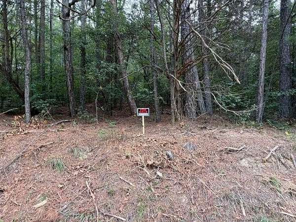2.5 Acres of Residential Land for Sale in Taylorsville, Georgia