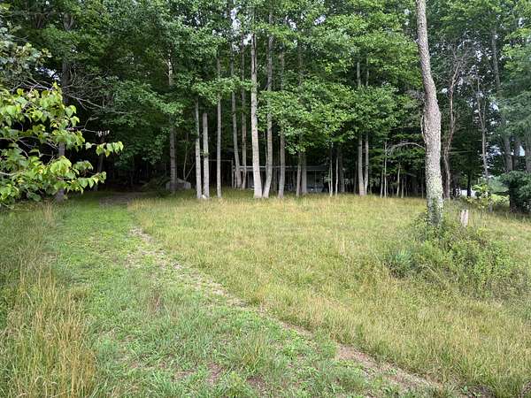 11 Acres of Land for Sale in Floyd, Virginia