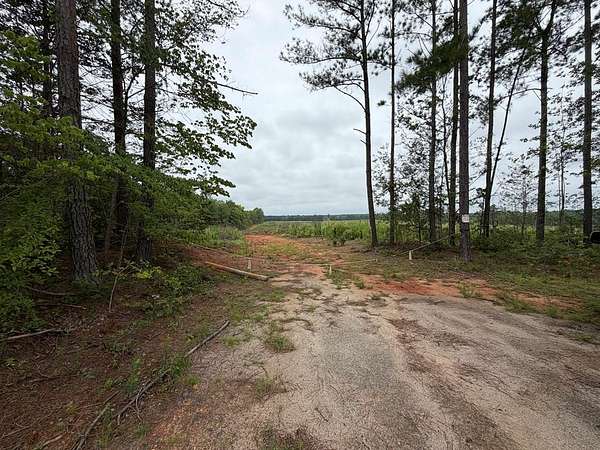 201 Acres of Land for Sale in Gasburg, Virginia