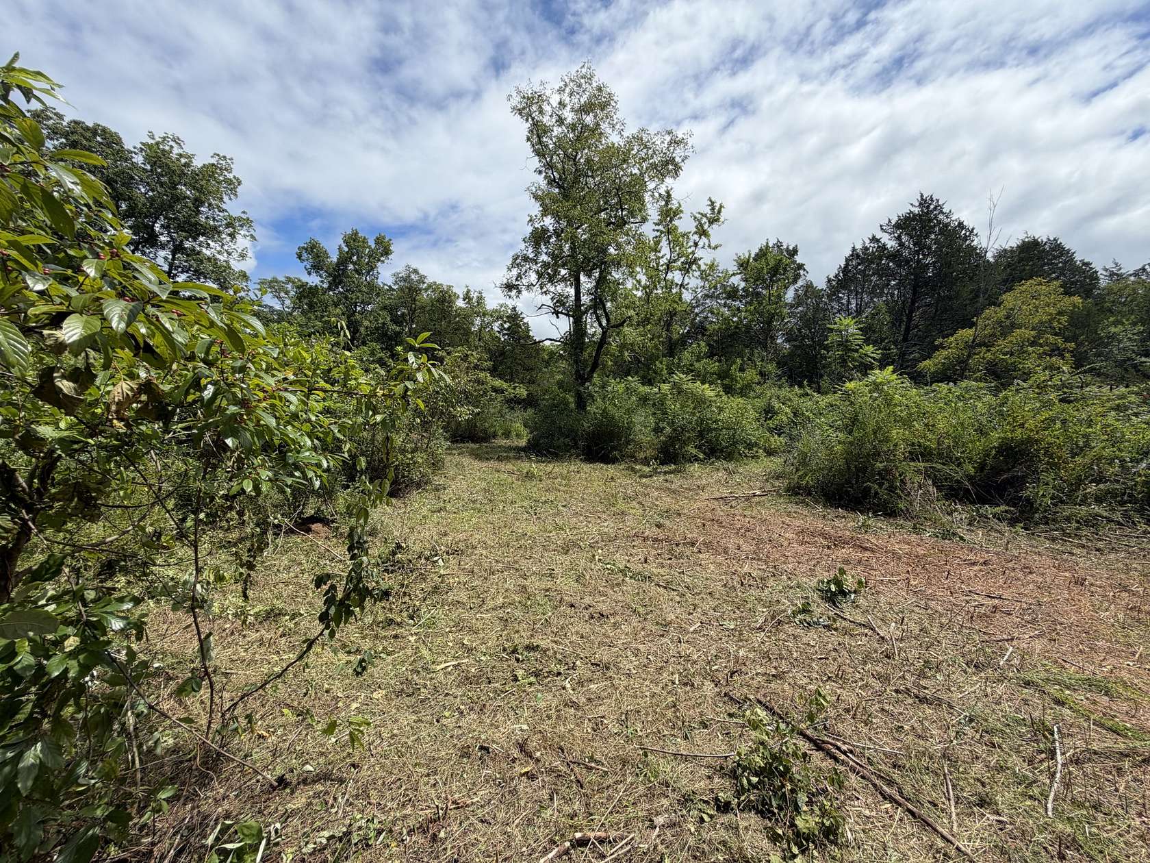 1.58 Acres of Residential Land for Sale in Murfreesboro, Tennessee