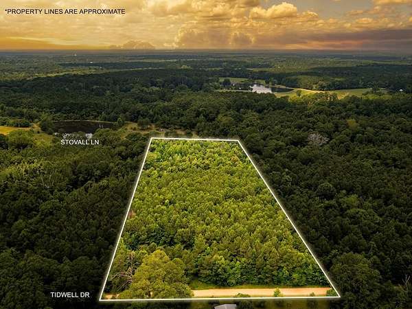 Residential Land for Sale in Summit, Mississippi