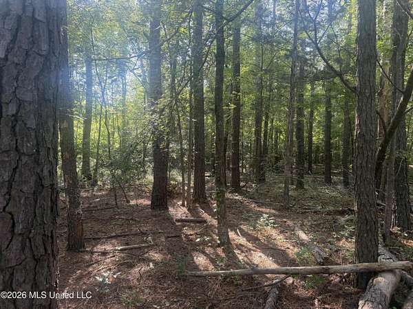 2.2 Acres of Residential Land for Sale in Florence, Mississippi