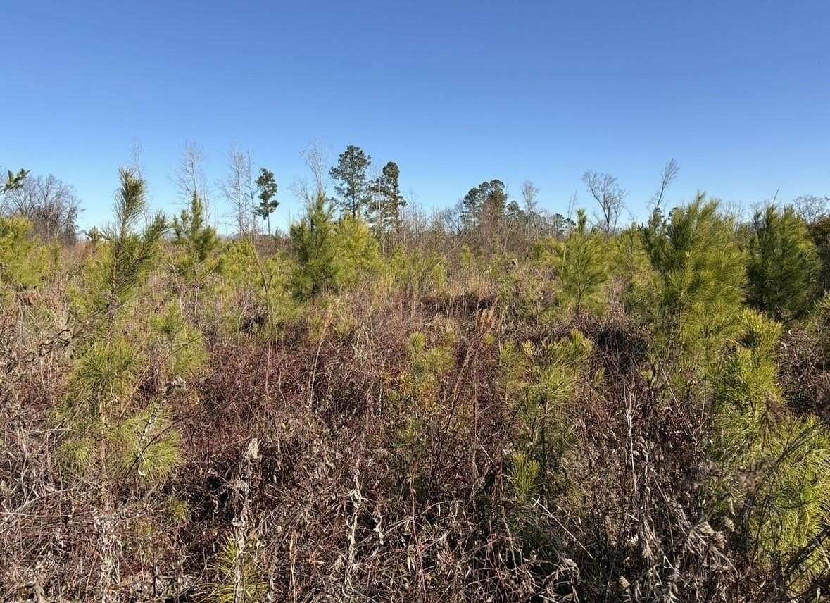 17.7 Acres of Recreational & Residential Land for Sale in Mullins, South Carolina