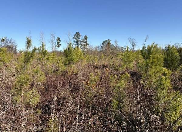 17.7 Acres of Recreational & Residential Land for Sale in Mullins, South Carolina