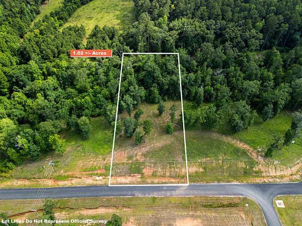 1 Acre of Residential Land for Sale in Hallsville, Texas