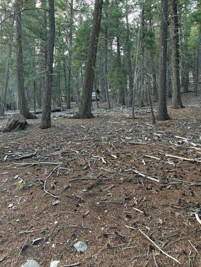 0.47 Acres of Land for Sale in Cloudcroft, New Mexico