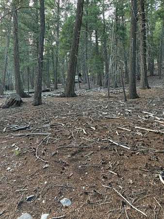 0.47 Acres of Land for Sale in Cloudcroft, New Mexico