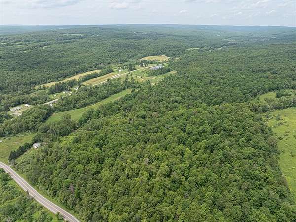 91.4 Acres of Land for Sale in McDonough, New York