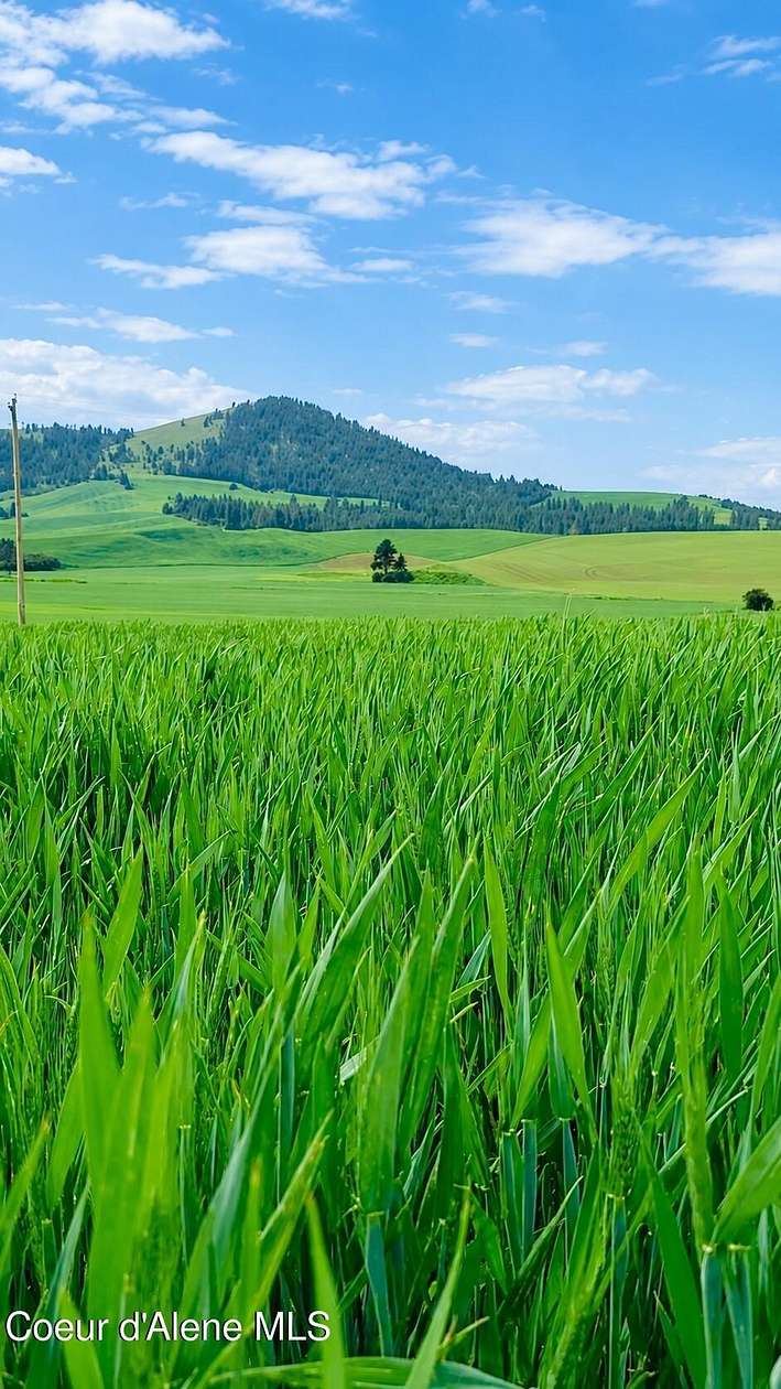 10 Acres of Land for Sale in De Smet, Idaho
