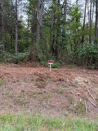 2 Acres of Residential Land for Sale in Taylorsville, Georgia
