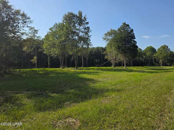 5.68 Acres of Residential Land for Sale in Westville, Florida