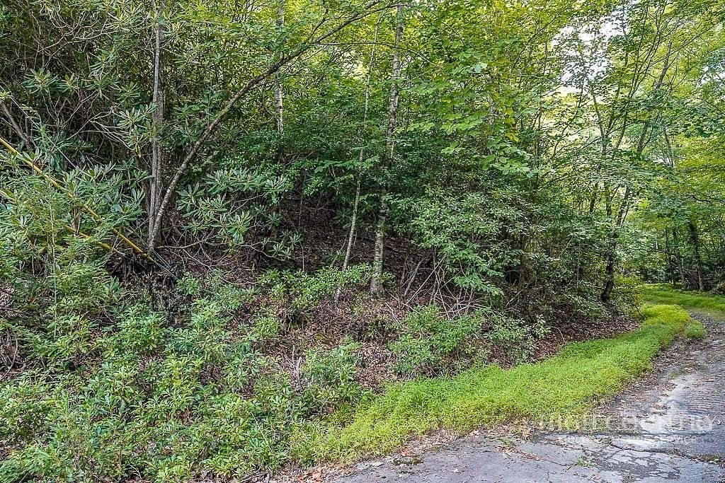 0.48 Acres of Land for Sale in Beech Mountain, North Carolina