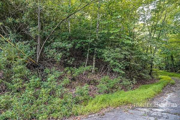 0.48 Acres of Land for Sale in Beech Mountain, North Carolina