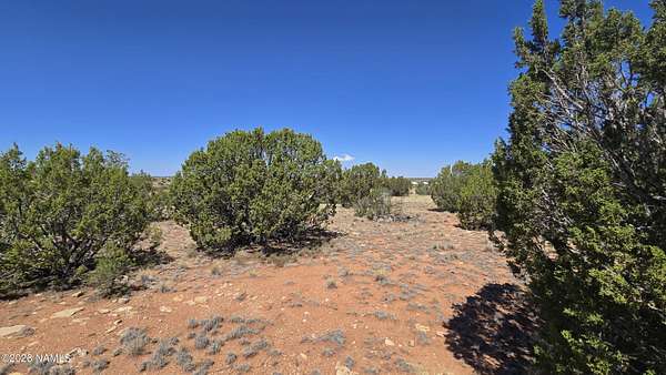 1.1 Acres of Residential Land for Sale in Williams, Arizona