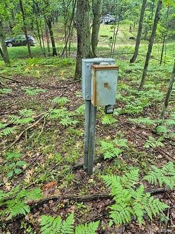 0.6 Acres of Residential Land for Sale in Rose Lake Township, Michigan