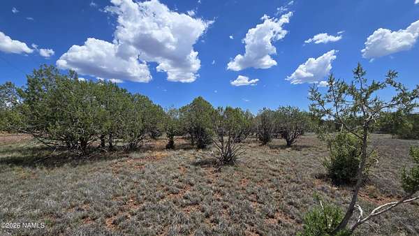 1.13 Acres of Land for Sale in Williams, Arizona