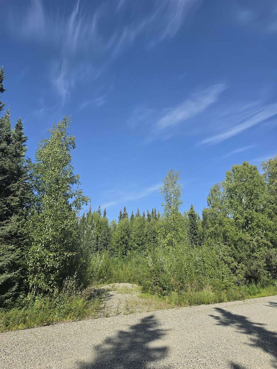 1.15 Acres of Residential Land for Sale in North Pole, Alaska