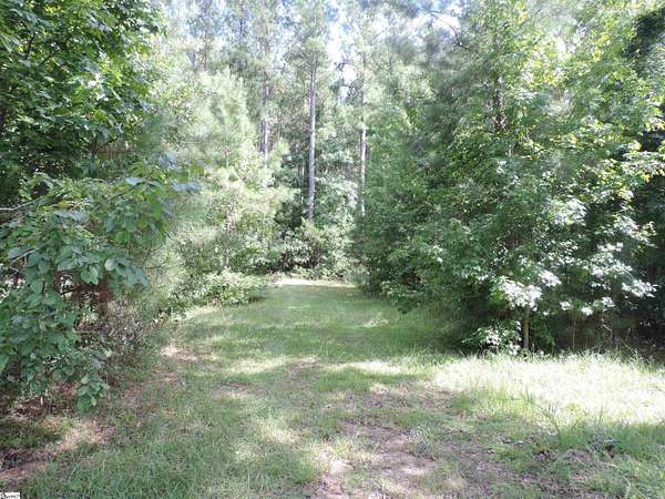 9 Acres of Land for Sale in Whitmire, South Carolina