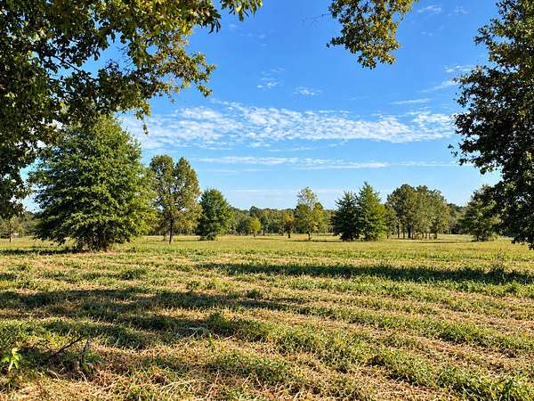 35.3 Acres of Land for Sale in Como, Texas