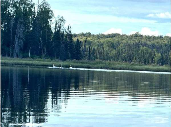 54 Acres of Recreational Land with Home for Sale in Skwentna, Alaska